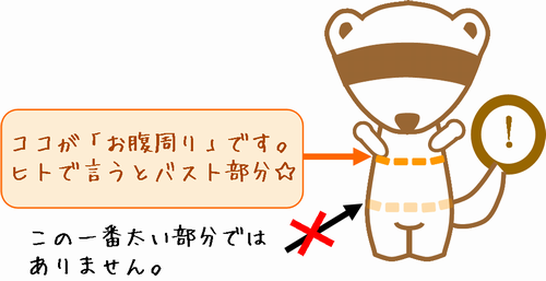 フェレットの服のサイズ測る場所