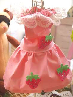 フェレットの洋服・いちごワッペン１