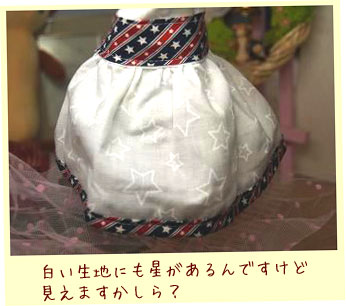 フェレット洋服・アメリカ里帰り・紺４