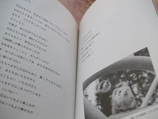 フェレットの本・いたちなあたち・１