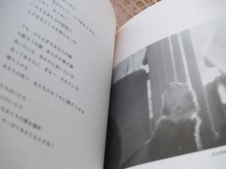 フェレットの本・いたちなあたち・１