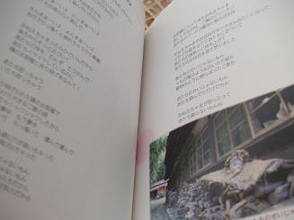 フェレットの本・いたちなあたち・３