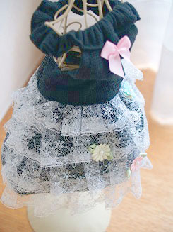 フェレットの洋服・黒に段々の白レース１
