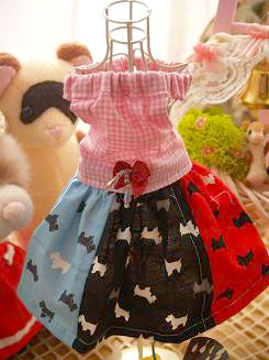 フェレットの服・フェレットの洋服・色あわせ犬２