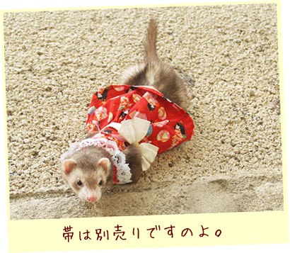 フェレット洋服・まりつき・赤・フェレット２