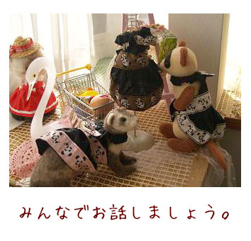 フェレットの洋服・パンダちゃん・全色