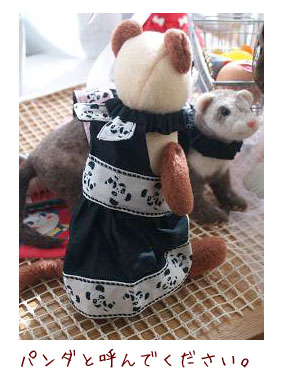 フェレットの洋服・パンダちゃん・フェレット１