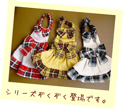 フェレット洋服・プレゼント全部１