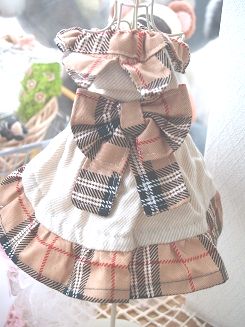 フェレット洋服・プレゼントチェックの茶色
