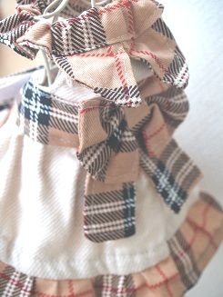 フェレット洋服・プレゼントチェックの茶色