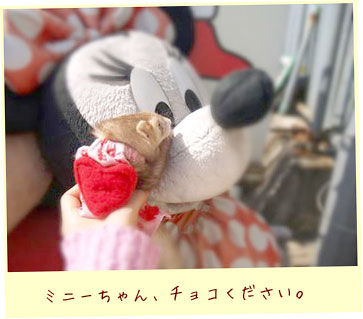 フェレットの服・バレンタインハートハワイフェレット２