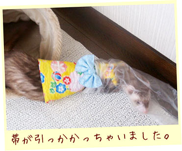 フェレット着物・浴衣・黄色い花火・フェレット４